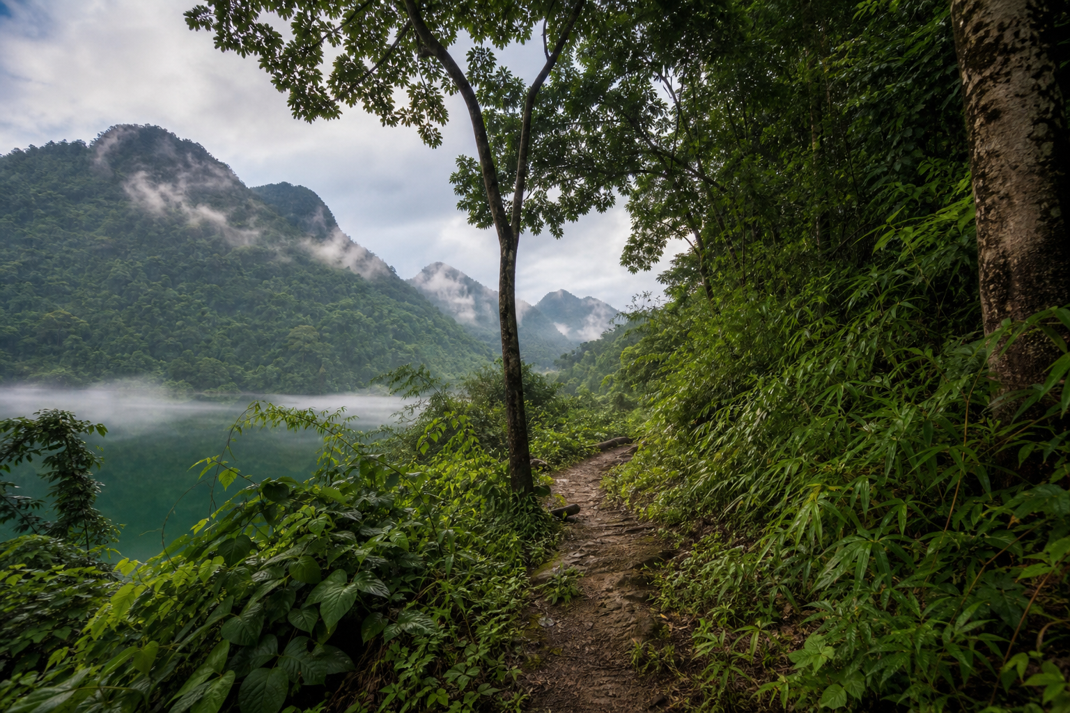 Mountain nature views